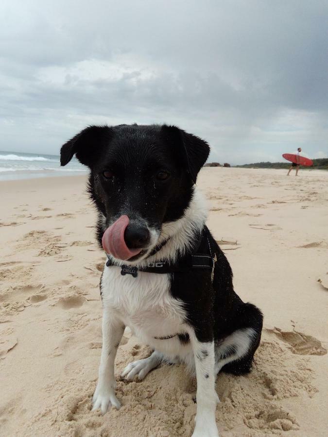 Beachside Backpackers Port Macquarie Luaran gambar